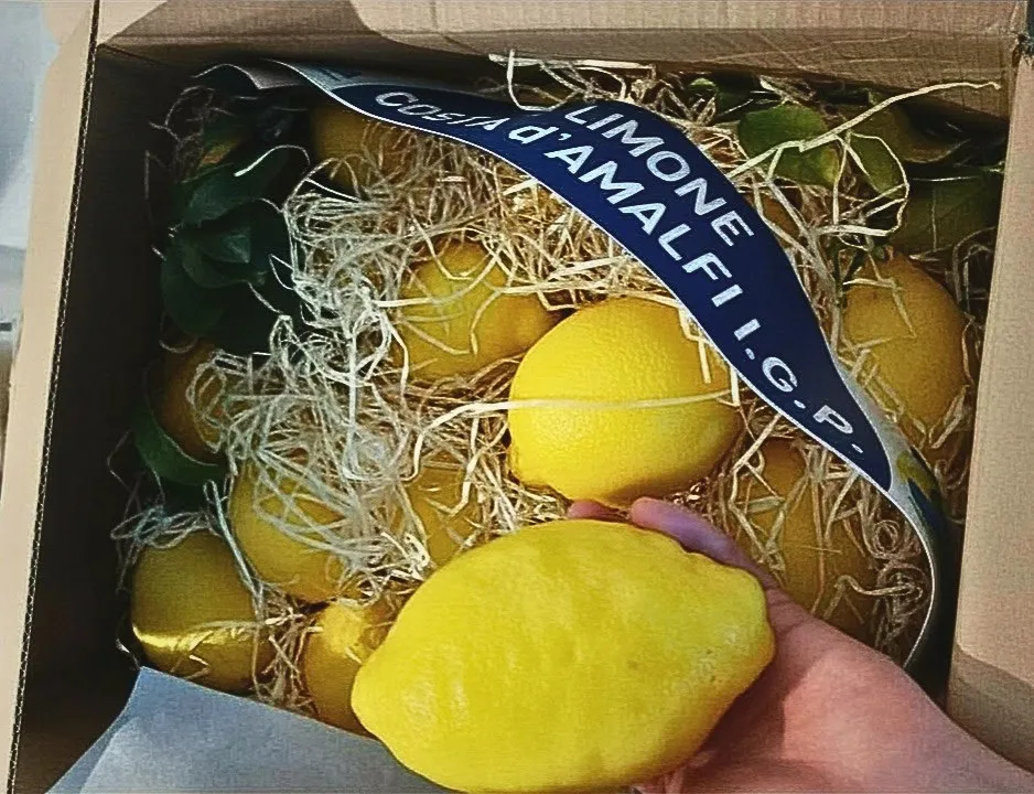 Real, organic, untreated IGP lemons from Sorrento and Amalfi